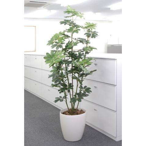 カポック1.8m 158A300-36 人工観葉 フェイクグリーン 造花 観葉植物 人工 光触媒 人工観葉植物 新築祝い 開店祝い 引越し祝い