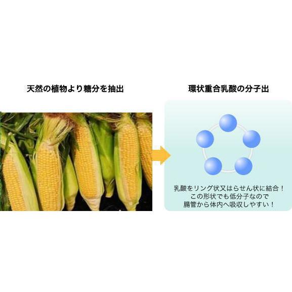 CPLS 環状重合乳酸 240g サプリメント シーピーエルエス CPL