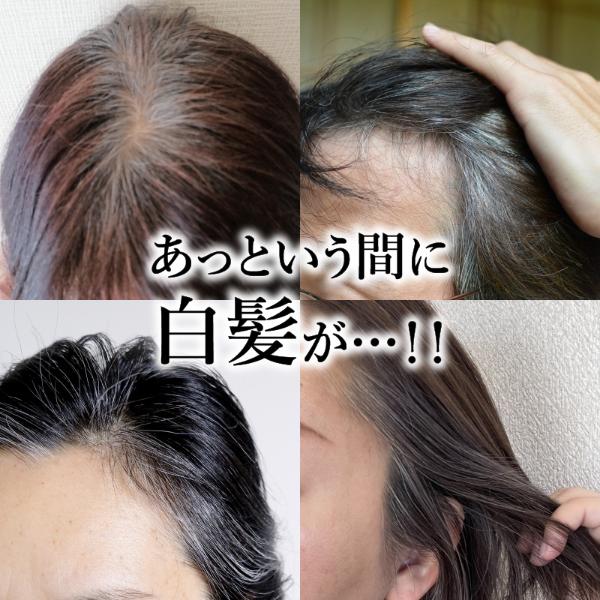 クイックヤング ヘアカラー 白髪染め レディースヘアケア 部分染め用
