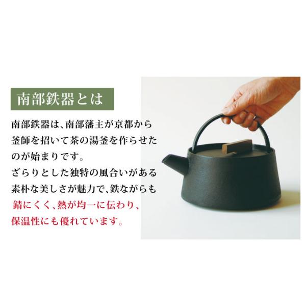 南部鉄器 tetu 鉄瓶 やかん ケトル 急須 茶器 鉄分補給 鉄分 補給 岩手