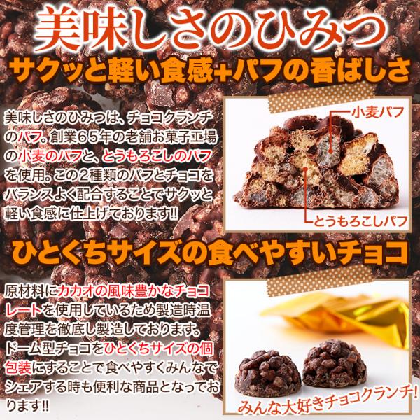チョコクランチ 50個×5個セット チョコスナック チョコレートスナック チョコレート お菓子 個包装 子供 キッズ おやつ 手土産 イベント_4