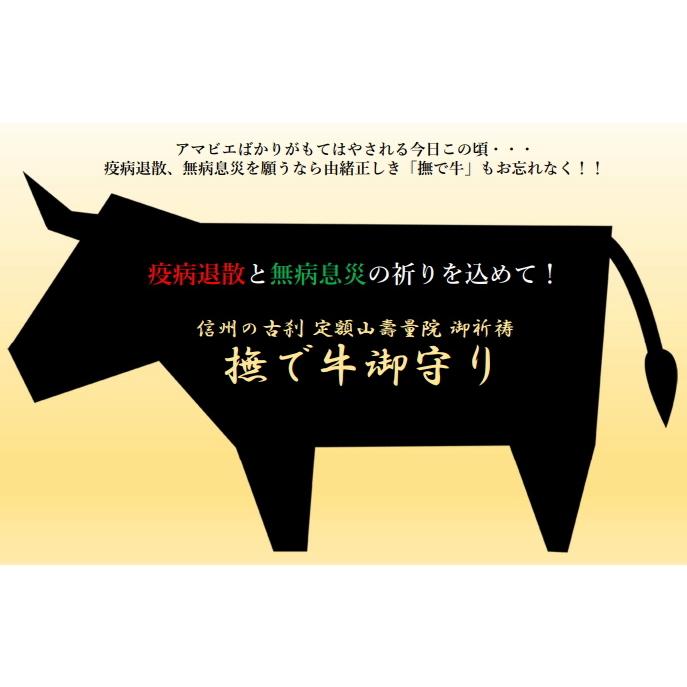 金運魔除け祈祷品 不動明王お守り護符 ひのき製 奈良 般若寺 牛