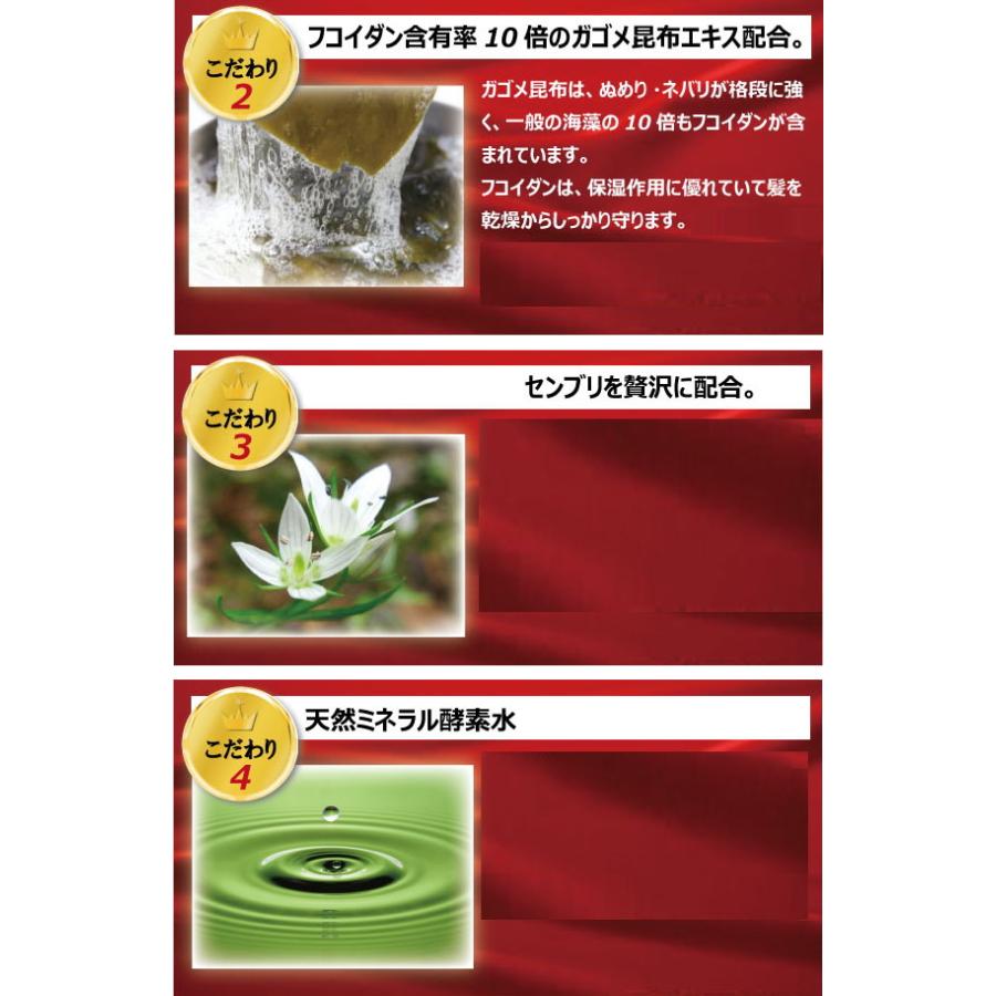 美女魔女シャンプーリッチコラージュプレミアム 480ml×2個セット