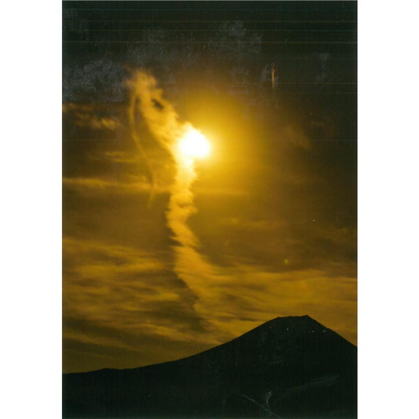 限定品 秋元隆良 奇跡の写真 金色晩龍 2L版 開運 幸運 写真 開運アート