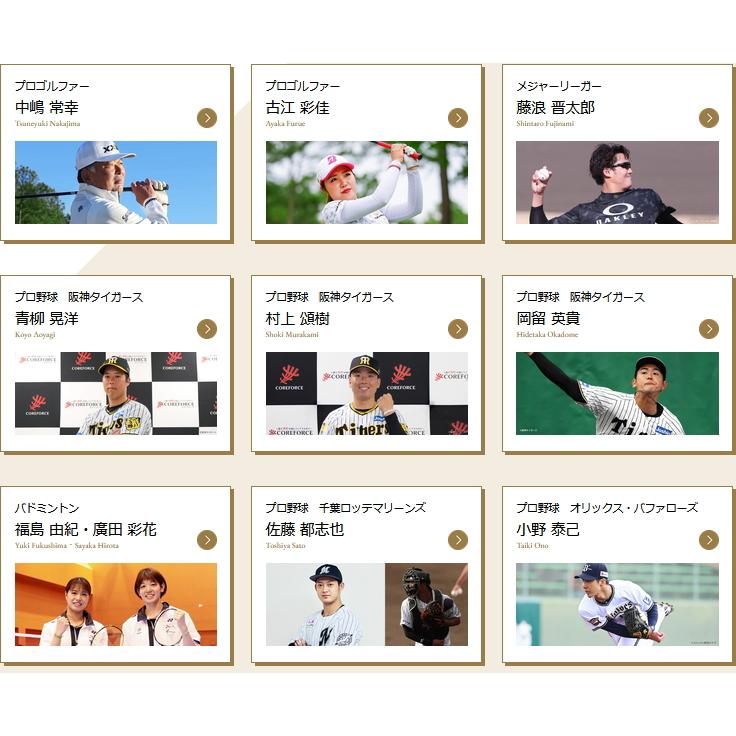 COREFORCE コアフォースループ ホワイト SUS70 70cm コア