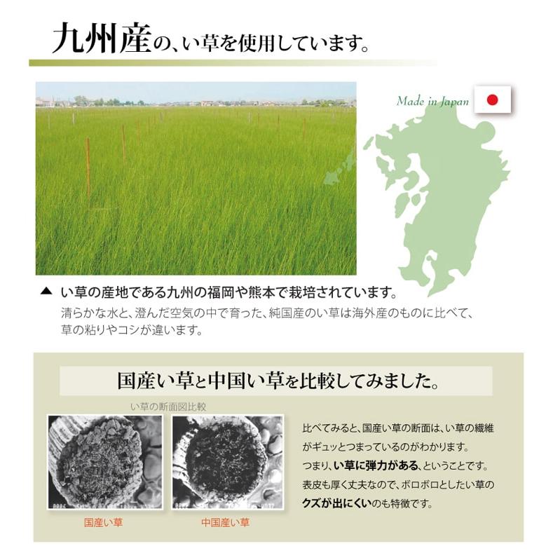 国産 い草 ござ 和室 畳 上敷き カーペット 敷物 糸引織 六一間 2畳 (約185×185cm) 梅 花 お手入れ簡単 夏 抗菌 防臭 調湿 消臭 空気清浄 汚れにくい｜heartfelt2｜05