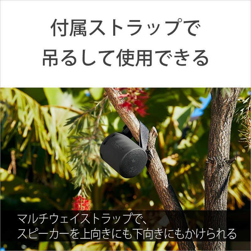 当店1年保証】SONY ワイヤレスポータブルスピーカー SRS-XB100
