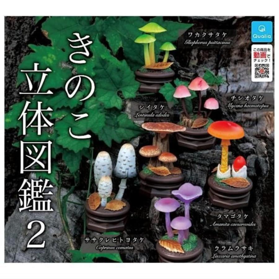 クオリア きのこ立体図鑑2 × 全6種セット フルコンプ ガチャガチャ