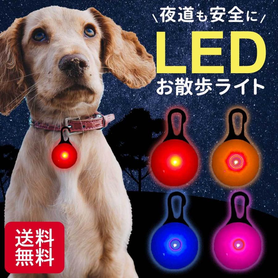 光る首輪 犬用 防水 電池式 夜の犬の散歩や雨のお散歩を安全に ｌｅｄ 大型犬から小型犬もｏｋ ペンダント ペット用