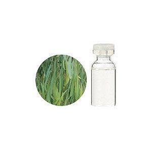 最新の激安 生活の木 アロマ エッセンシャルオイル ユーカリ ラディアータ 1000ml 精油 アロマ 数量限定 特売 Raloffshore Com