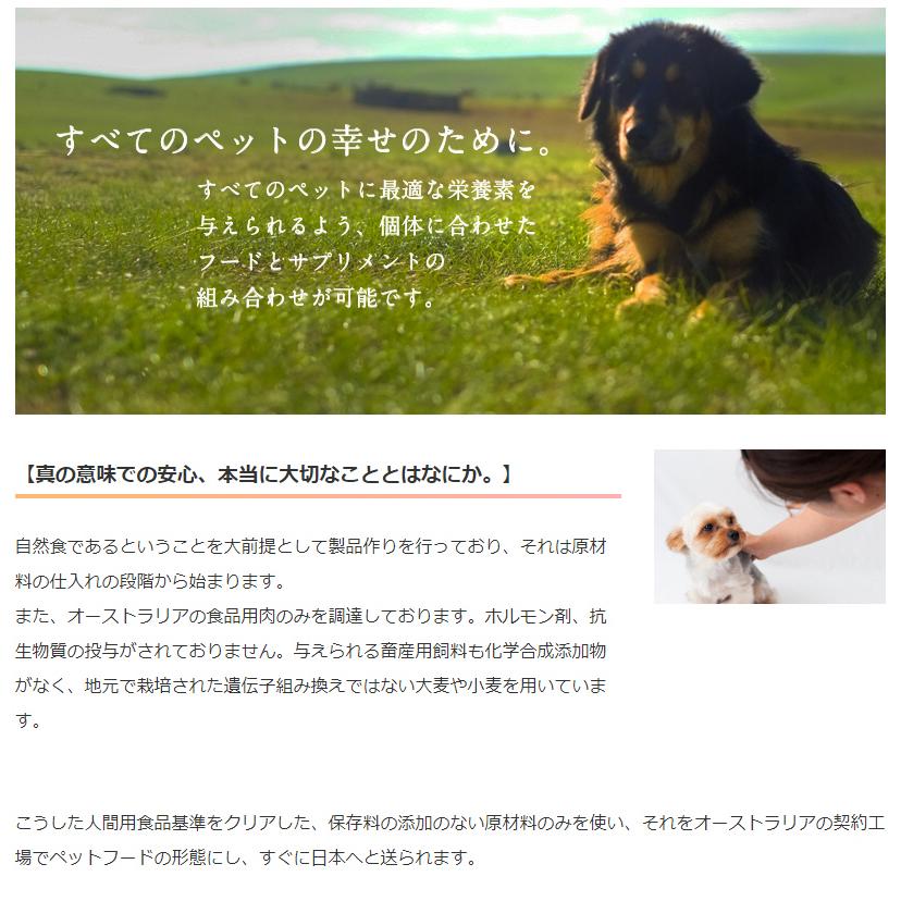 C&R ホホバシャンプーS 500ml 犬用 : ハーブとアロマのハートランド