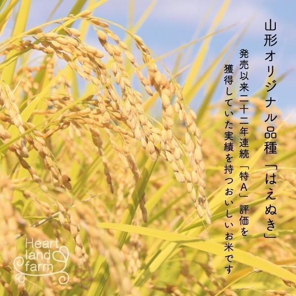 お米 10kg はえぬき 山形県 令和5年産 送料無料（一部地域を除く） 精白米 ハートランドファーム｜heartlandfarm｜02