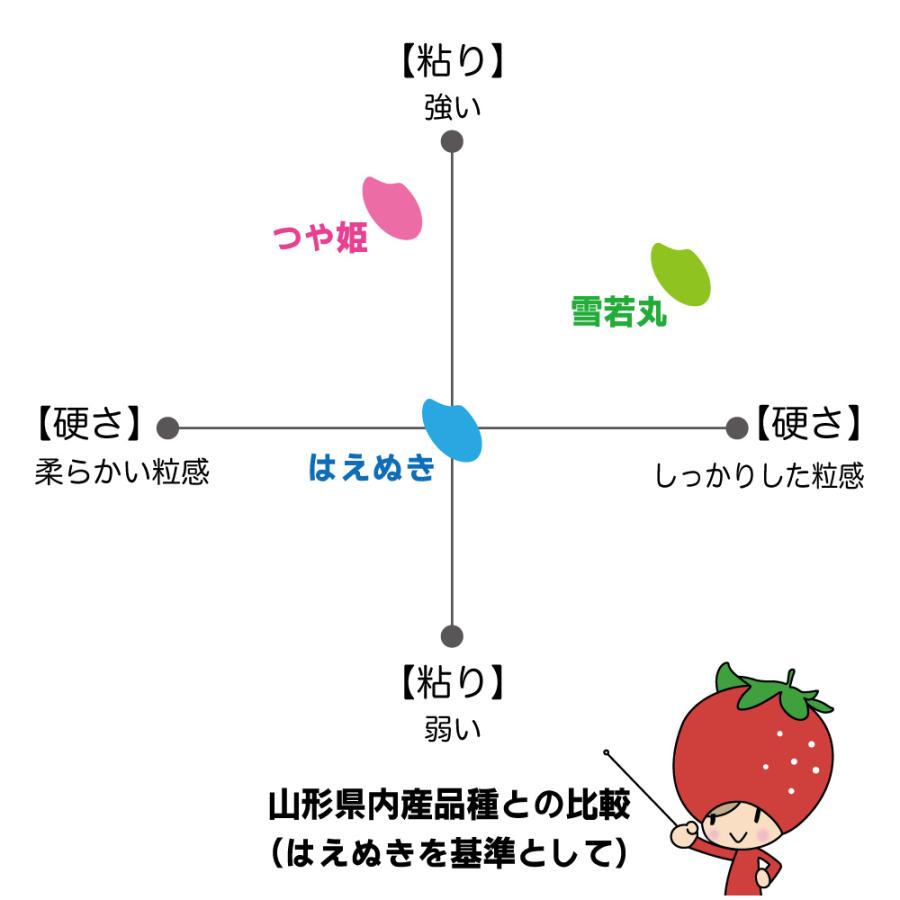 お米 900g はえぬき 山形県 令和5年産 精白米 真空パック 送料無料 お試し米 1kg以下 ポイント消化 ハートランドファーム｜heartlandfarm｜06