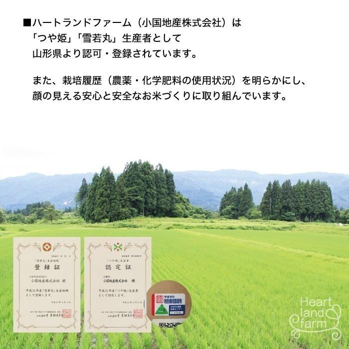 お米 10kg コシヒカリ 山形県 令和5年産 送料無料（一部地域を除く） 精白米 ハートランドファーム｜heartlandfarm｜03