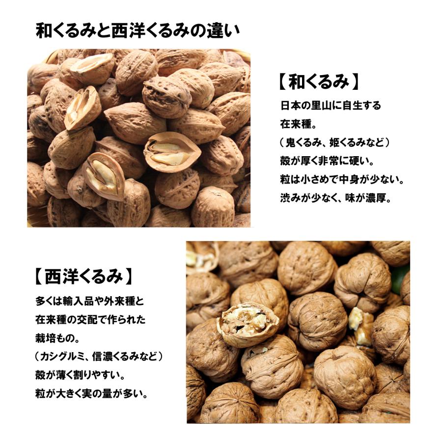 くるみ 1kg 国産 殻付き 令和4年産 山形県産 鬼くるみ オニグルミ 和くるみ 送料無料（一部地域を除く）  :onigurumi-1kg:ハートランドファーム いちご一笑 - 通販 - Yahoo!ショッピング