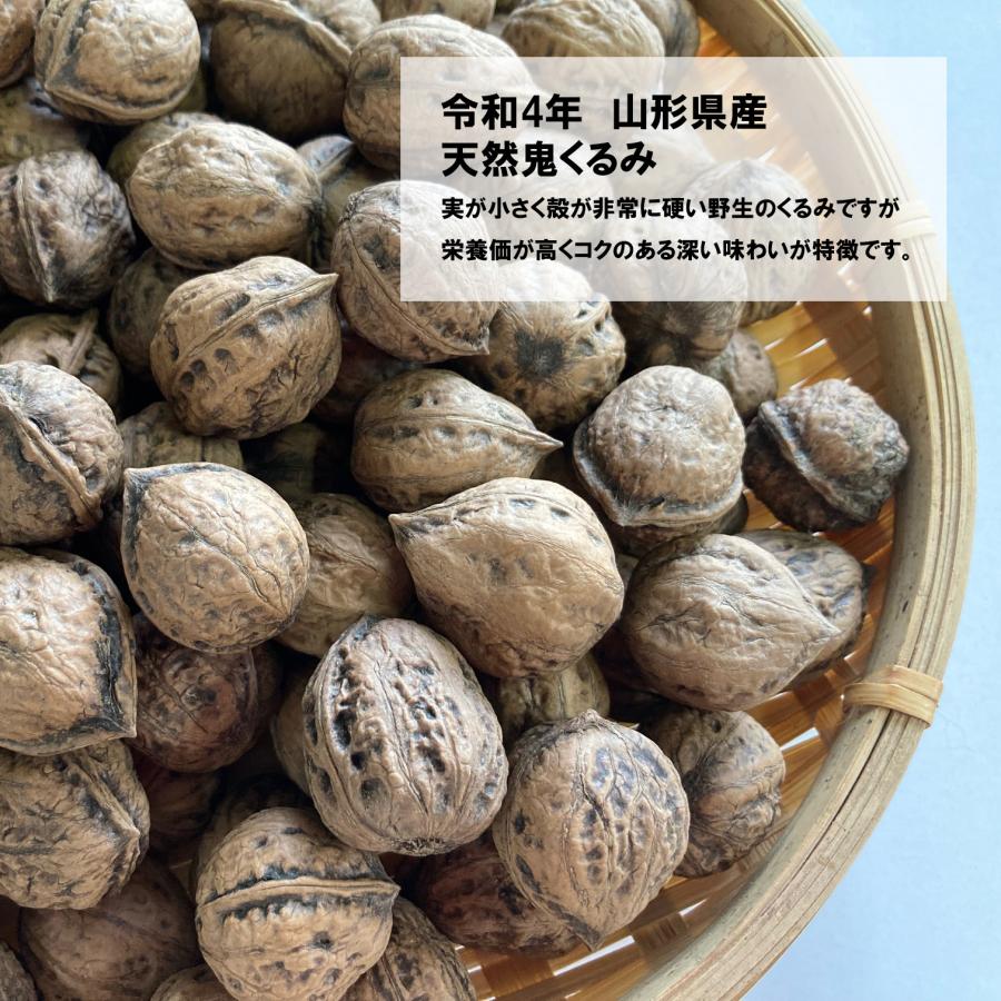 見事な創造力 くるみ 500g 国産 殻付き 令和4年産 山形県小国町産 和くるみ 鬼くるみ 送料無料 一部地域を除く