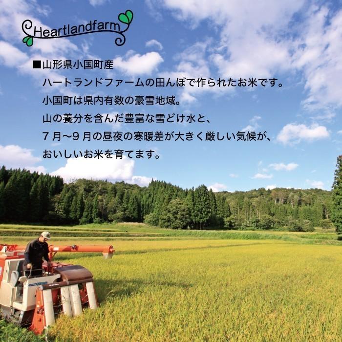 お米 20kg 山形95号 山形県 令和5年産 送料無料（一部地域を除く） 10kg×2袋 精白米｜heartlandfarm｜05