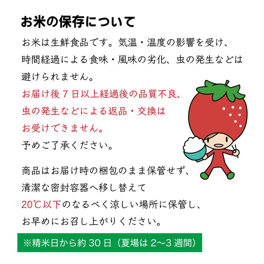 新米 お米 10kg 雪若丸 山形県 令和6年産 送料無料(一 新米 お米 10kg 雪若丸 山形県 令和6年産 送料無料(一