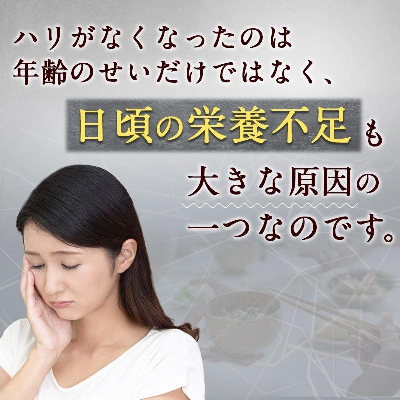 公式 20％OFF お得な12袋セット  ブラックサプリEXプラス 約30日分×12袋 サプリメント サプリ お得 父の日 ギフト プレゼントの画像