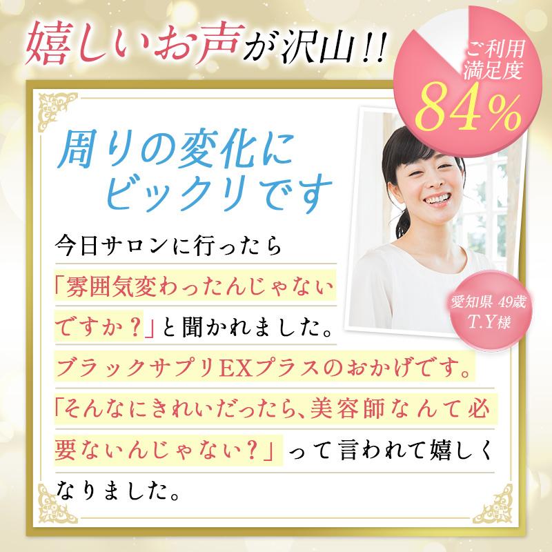 公式 20％OFF お得な6袋セット  ブラックサプリEXプラス 約30日分×6袋 サプリメント サプリ お得 プレゼント 父の日の画像