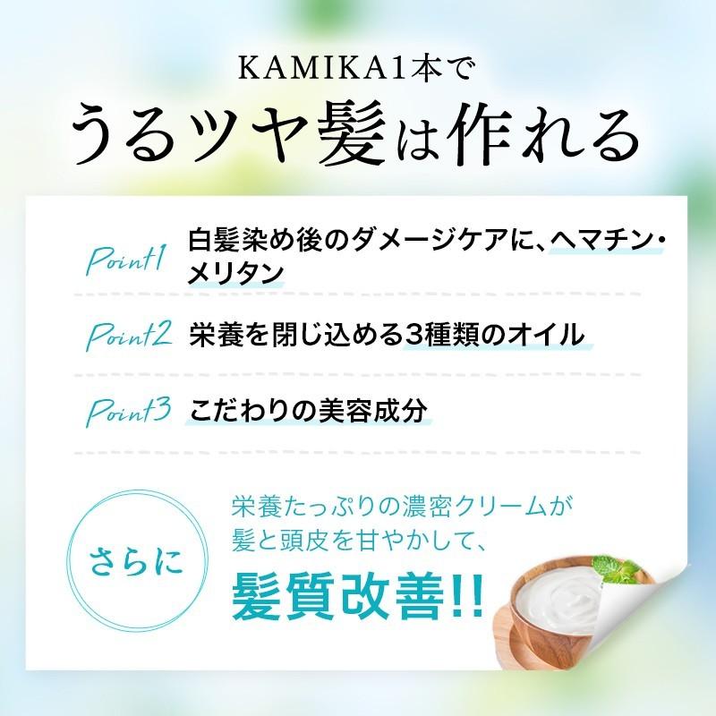 開店祝い 公式 洋梨とフリージアの香り 春限定 黒髪クリームシャンプー Kamika カミカ 2本セット 泡立たない新感覚シャンプー 在庫一掃 Www Muslimaidusa Org