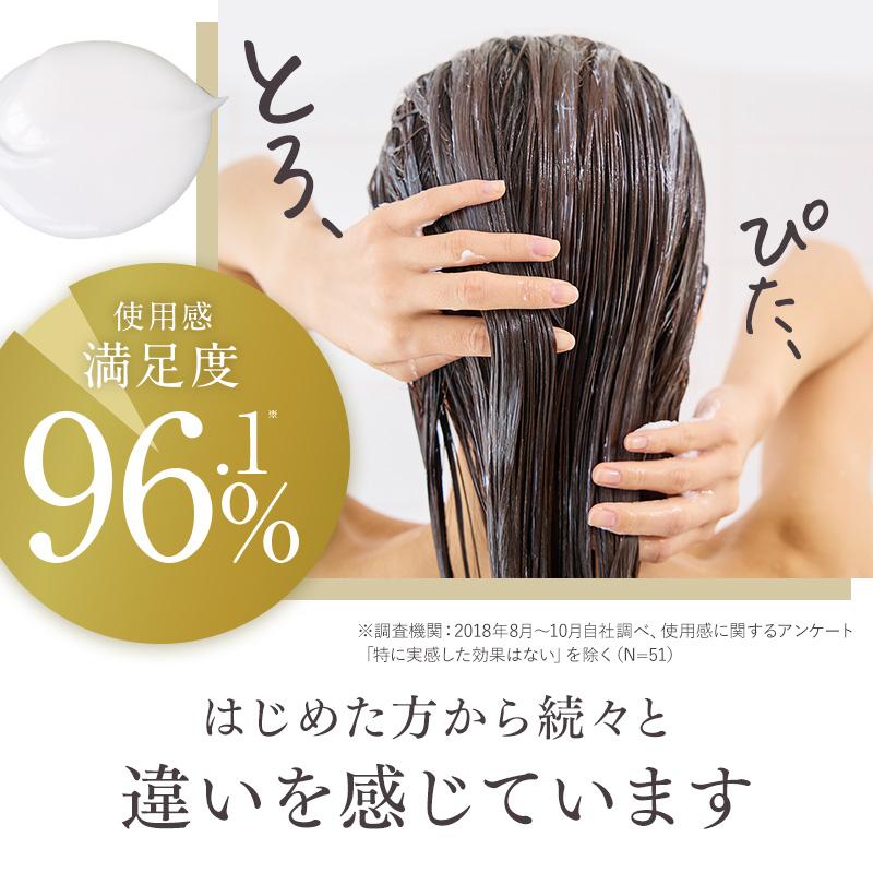 KAMIKA カミカ シャンプーセット 2本 10%オフ クリーム KAMIKA カミカ シャンプーセット 2本 10%オフ クリーム
