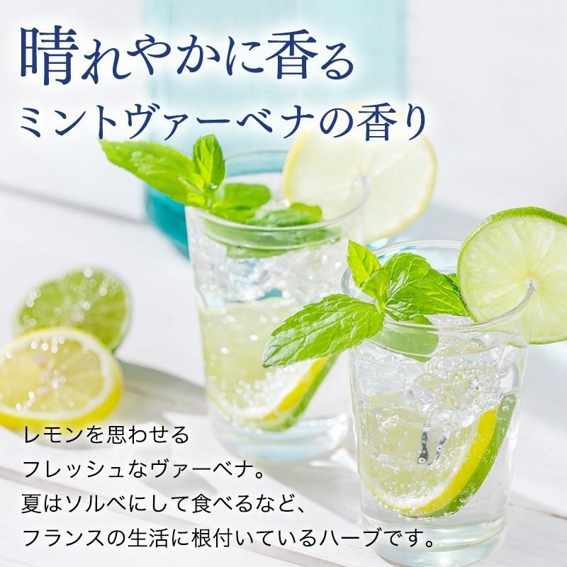 ノネナール 頭皮臭 消臭 スプレー  ミスト ニオイ ドライシャンプー 医薬部外品 KAMIKA クリアスカルプミスト | KAMIKA | 12