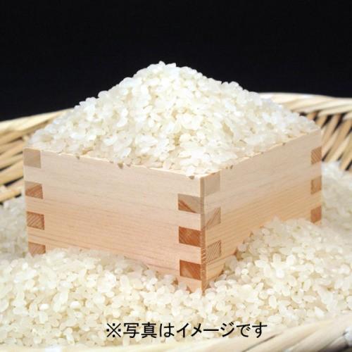ミルキークイーン 令和7年産 岐阜県産 特別栽培米（減化学肥料・減農薬 