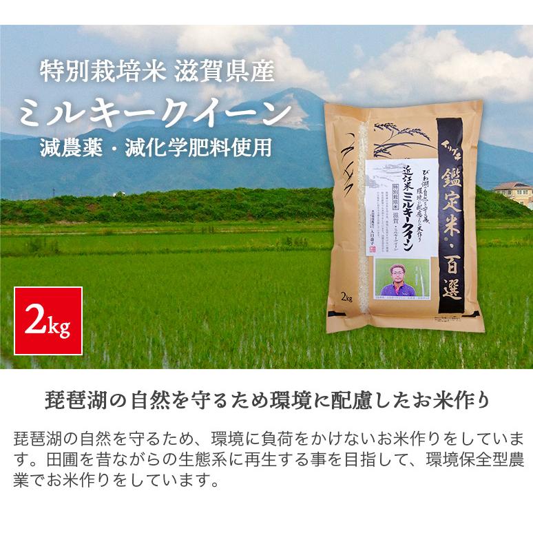 ミルキークイーン 令和6年産 滋賀県産 特別栽培米(減化学肥料 ミルキークイーン 令和6年産 滋賀県産 特別栽培米(減化学肥料