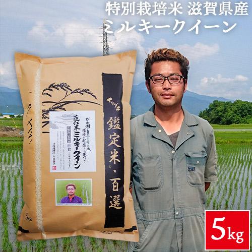 ミルキークイーン 令和6年産 滋賀県産 特別栽培米(減化学肥料 ミルキークイーン 令和6年産 滋賀県産 特別栽培米(減化学肥料
