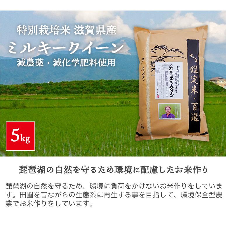 ミルキークイーン 令和6年産 滋賀県産 特別栽培米(減化学肥料 ミルキークイーン 令和6年産 滋賀県産 特別栽培米(減化学肥料