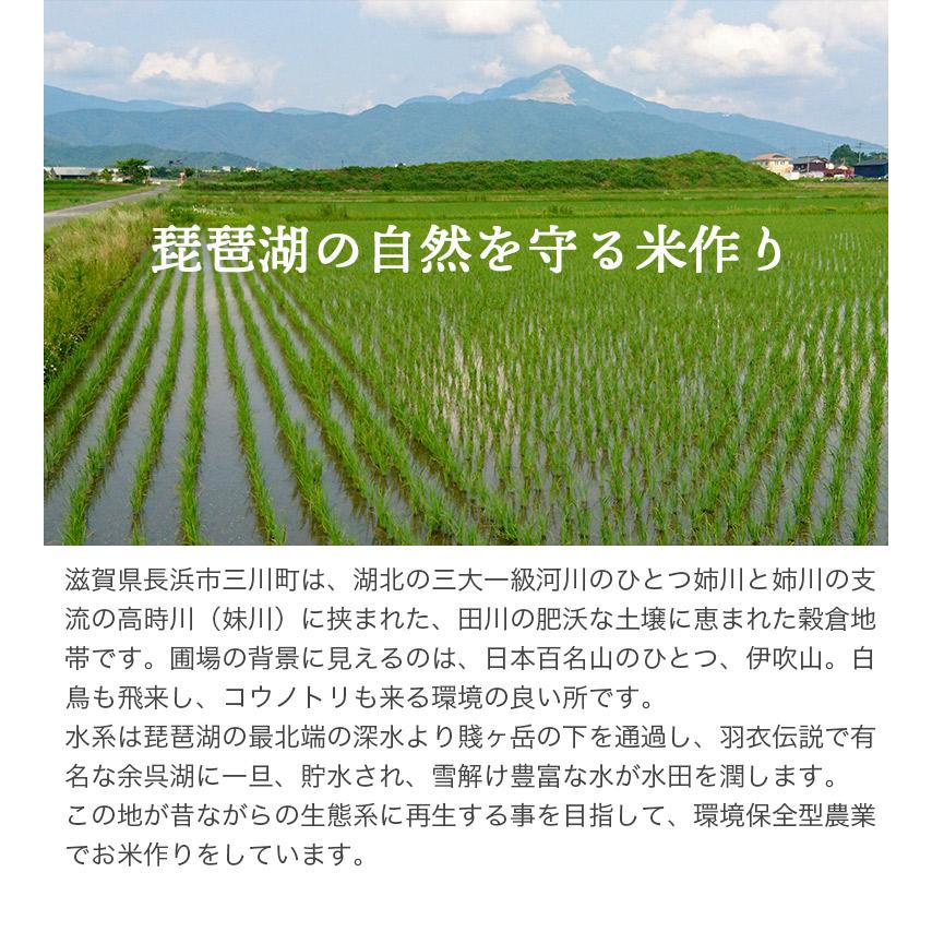 ミルキークイーン 令和6年産 滋賀県産 特別栽培米(減化学肥料 ミルキークイーン 令和6年産 滋賀県産 特別栽培米(減化学肥料