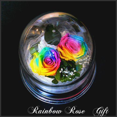 楽天 Amazon Yahooランキング1位 2輪のレインボーローズ ドーム 誕生日 母の日 結婚記念日 結婚祝い Rb 03 Es 札幌駅近くのお花屋さん 通販 Yahoo ショッピング