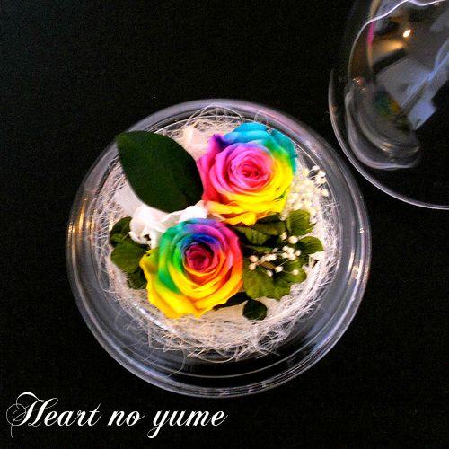 楽天 Amazon Yahooランキング1位 2輪のレインボーローズ ドーム 誕生日 母の日 結婚記念日 結婚祝い Rb 03 Es 札幌駅近くのお花屋さん 通販 Yahoo ショッピング