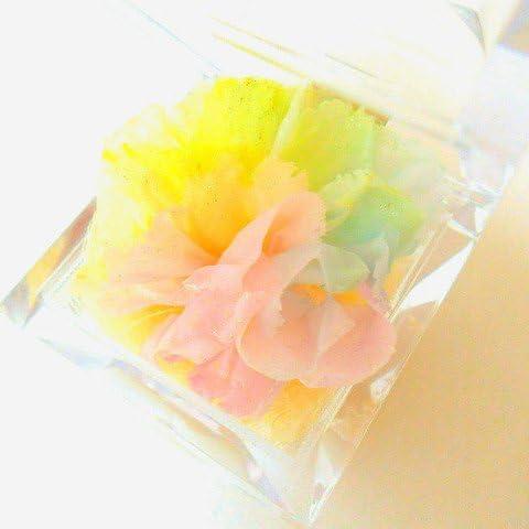 サウンドアレンジ 【高級プリザーブドフラワー】ケース入り