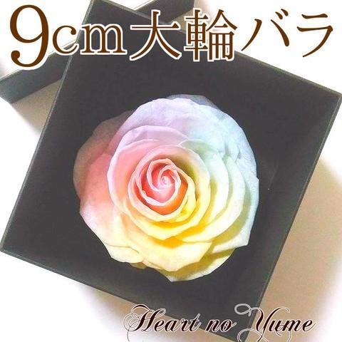 サウンドアレンジ 【高級プリザーブドフラワー】大輪バラレインボー