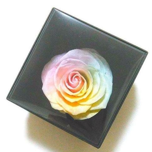 サウンドアレンジ 【高級プリザーブドフラワー】大輪バラレインボー