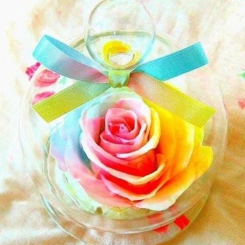 フラワーマーケット花由 【楽天ランキング1位】大輪バラ パステル