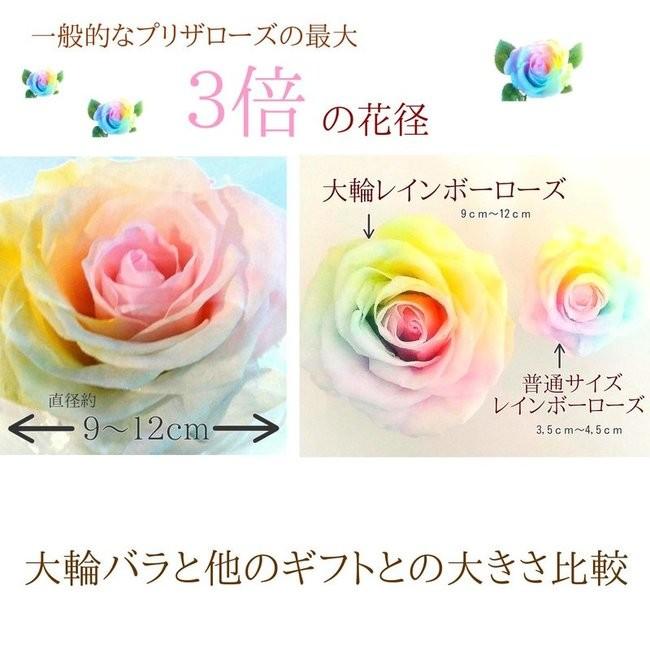 フラワーマーケット花由 【高級プリザーブドフラワー】大輪バラ