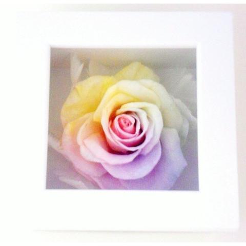 フラワーマーケット花由 【高級プリザーブドフラワー】ケース入り 大輪