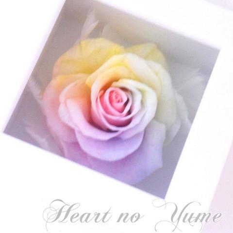 フラワーマーケット花由 【高級プリザーブドフラワー】ケース入り 大輪