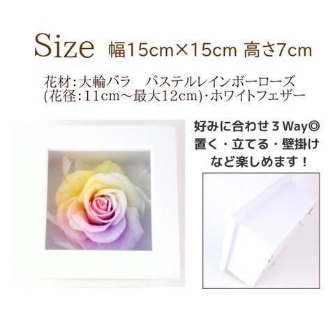 フラワーマーケット花由 【高級プリザーブドフラワー】ケース入り 大輪