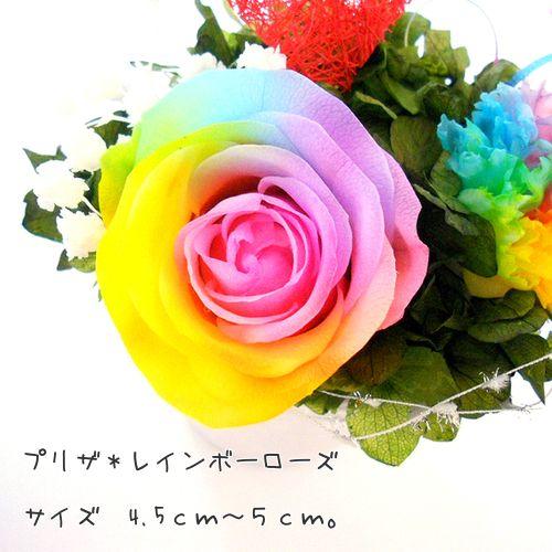 レインボーカラー プリザーブドフラワー アレンジメント サウンドアレンジ 【高級プリザーブドフラワー】ケース入りレインボー