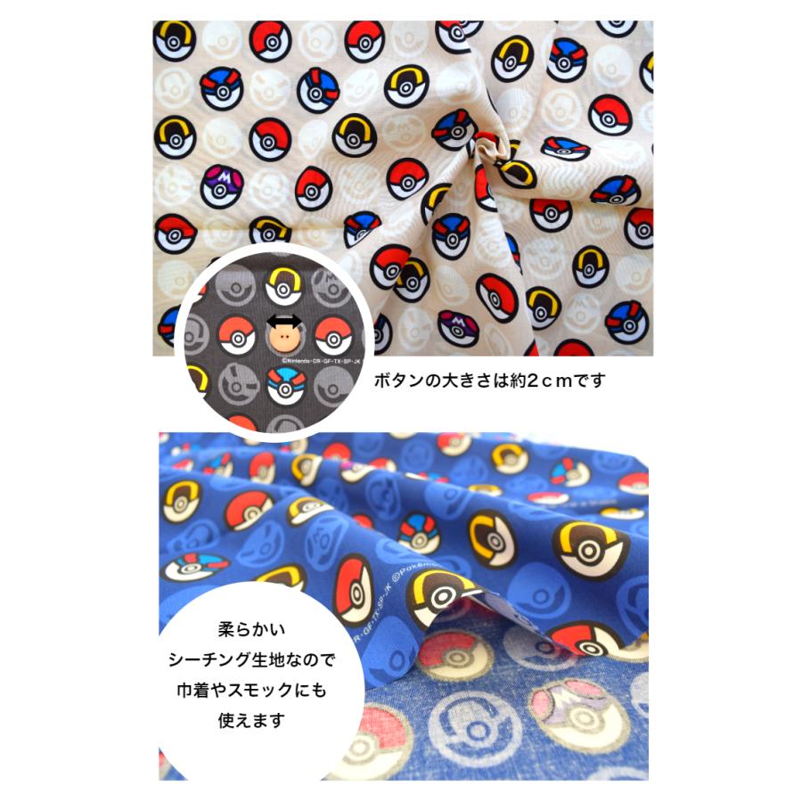 シーチング 2024 ポケットモンスター モンスターボール ポケモン