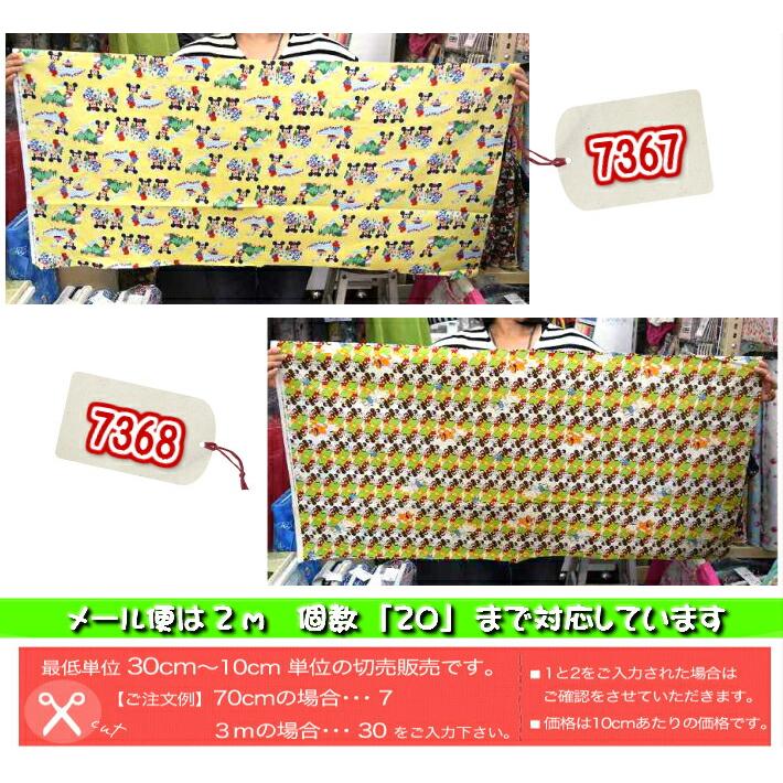 Disney 2019年キャラクターfabric ミッキーミニーファブリック「寺田 