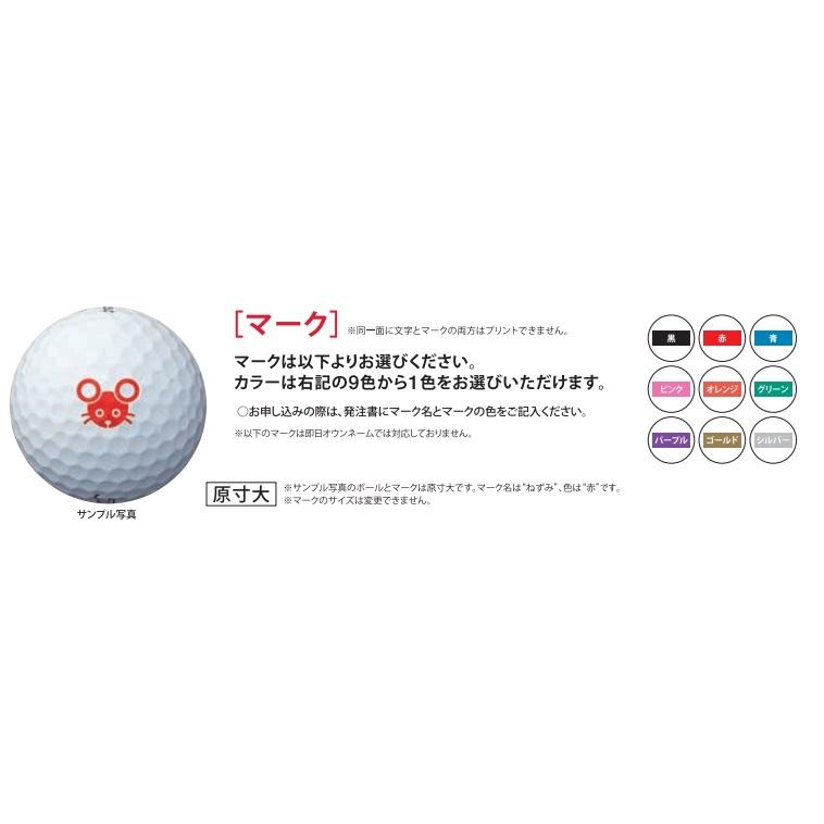 Titleist（タイトリスト） 【オウンネーム】タイトリスト PROV1/V1x