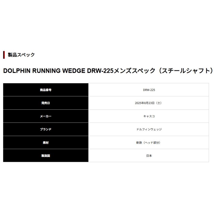 キャスコ ドルフィン ランニング ウェッジ DRW-225(39度）メンズスペック（スチールシャフト） DOLPHIN RUNNING WEDGEの画像