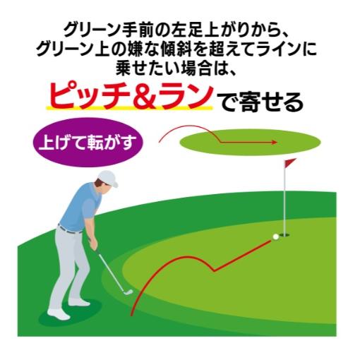 キャスコ ドルフィン ピッチ＆ラン ウェッジ DPW-225(48度）メンズスペック（スチールシャフト） DOLPHIN PITCH ＆ RUN WEDGEの画像