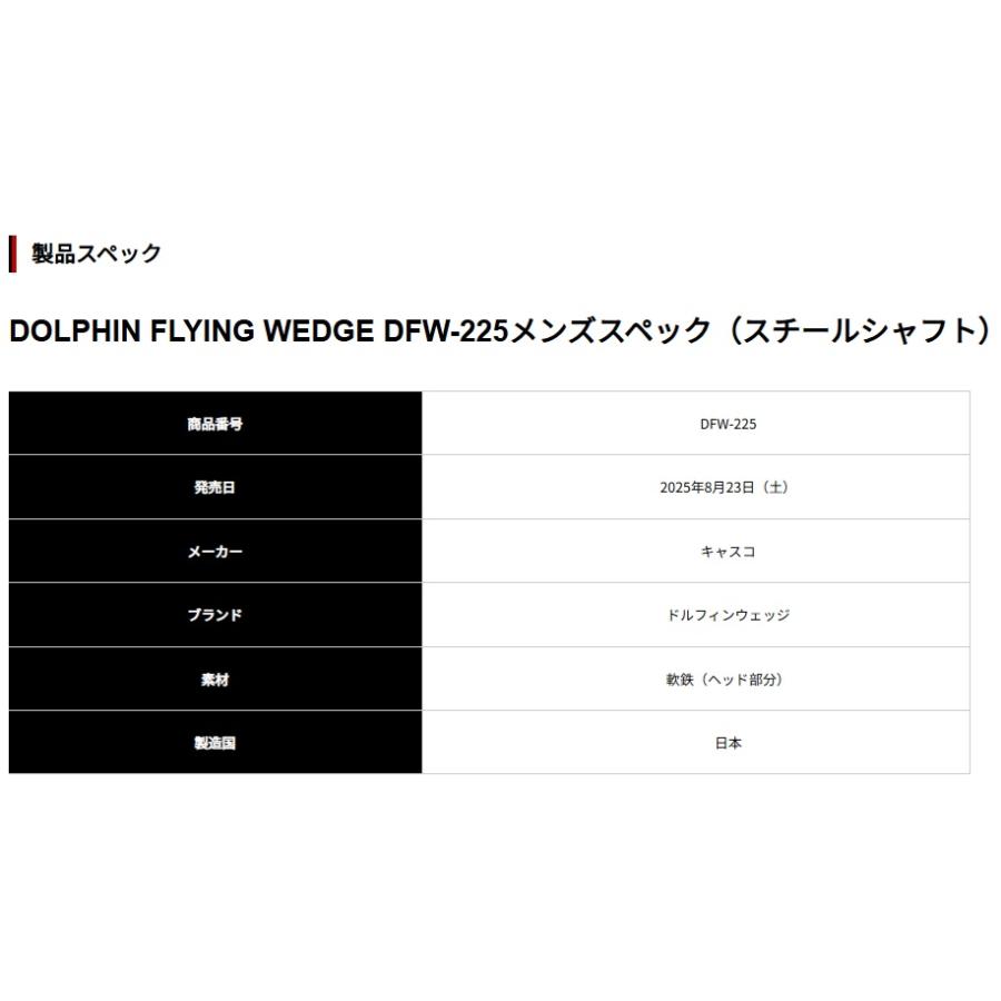 キャスコ ドルフィン フライ ウェッジ DFW-225(55度）メンズスペック（スチールシャフト） DOLPHIN FLYING WEDGEの画像