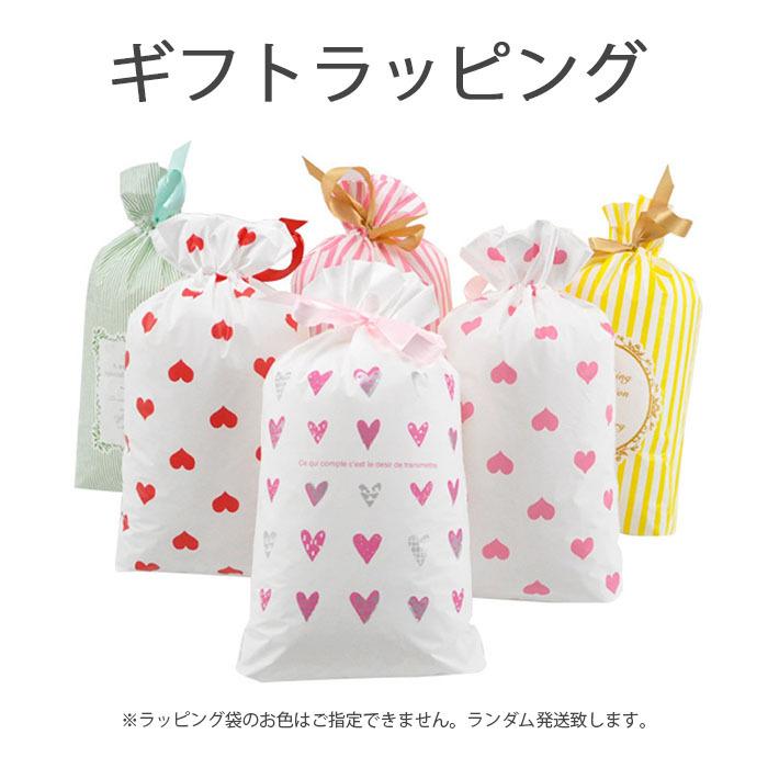 switchケース スイッチケース 収納ケース ニンテンドー Switch lite